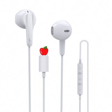 USB C Earphones Headphones with Microphone